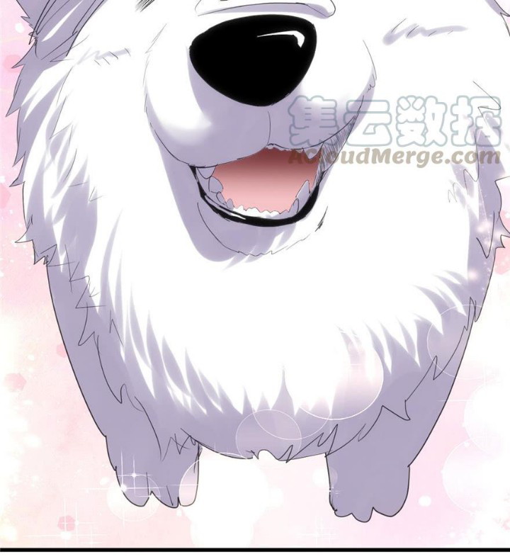 I Might Be A Fake Cultivator Chapter 12 Gambar 29